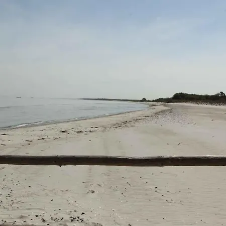 Erholung In Der Natur - Urlaub Im Alten Forsthaus Apartment Zingst