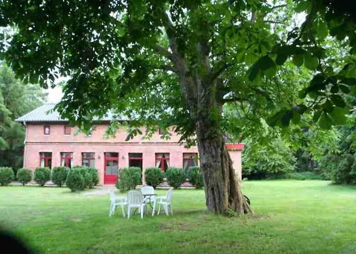 Erholung In Der - Urlaub Im Alten Forsthaus * Zingst